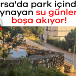 925578-bursa-da-park-icinden-kaynayan-su-gunlerdir-bosa-akiyor-690493cc23e8c.jpg