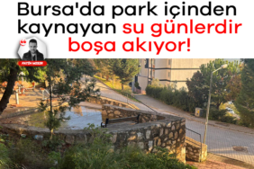 925578-bursa-da-park-icinden-kaynayan-su-gunlerdir-bosa-akiyor-690493cc23e8c.jpg