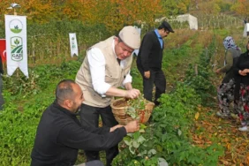 bursa-osmangazi-de-uzumsuz-meyvelerde-organik-seferberlik-ilk-hasat-baskan-aydin-dan-1762593180-927.webp