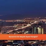 Bursa’nın En Büyük İlçesi: Nilüfer’in Sırları