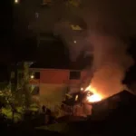 Yanan Evden Kurtarılan Papağanın Dramı