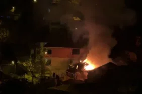 Yanan Evden Kurtarılan Papağanın Dramı