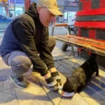 Hayvan Sever Esnaftan Taksi Durağına Destek!