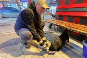 Hayvan Sever Esnaftan Taksi Durağına Destek!