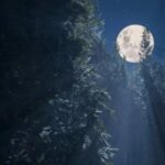 21 Aralık: Yılın En Uzun Gecesi Geliyor!