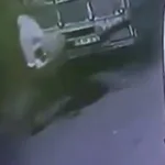 Avcılar’da 40 Bin Liralık Hırsızlık Kamerada!