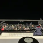 İzmir Açıklarında 44 Düzensiz Göçmen Yakalandı