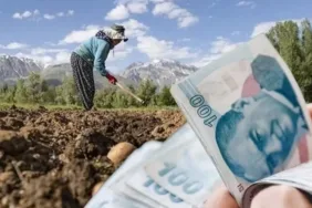 Kooperatiflere 4,5 Milyar TL Kredi Desteği!