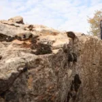 Tetis Denizi’nin Kalıntıları Kocaköy’de Keşfedildi