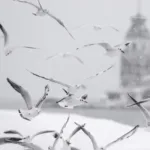 İstanbul’a Kar Yağışı Geliyor! Sıcaklık Düşecek