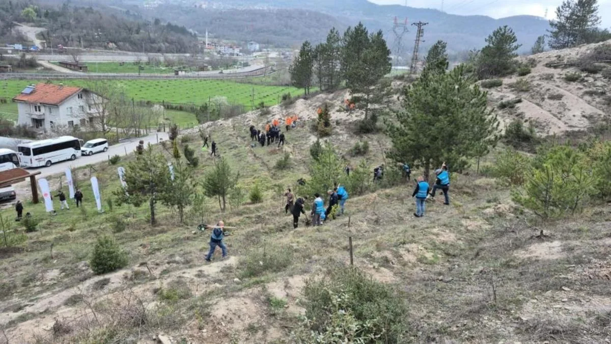 Adalet Ormanı’nda Fidan Dikimi Etkinliği