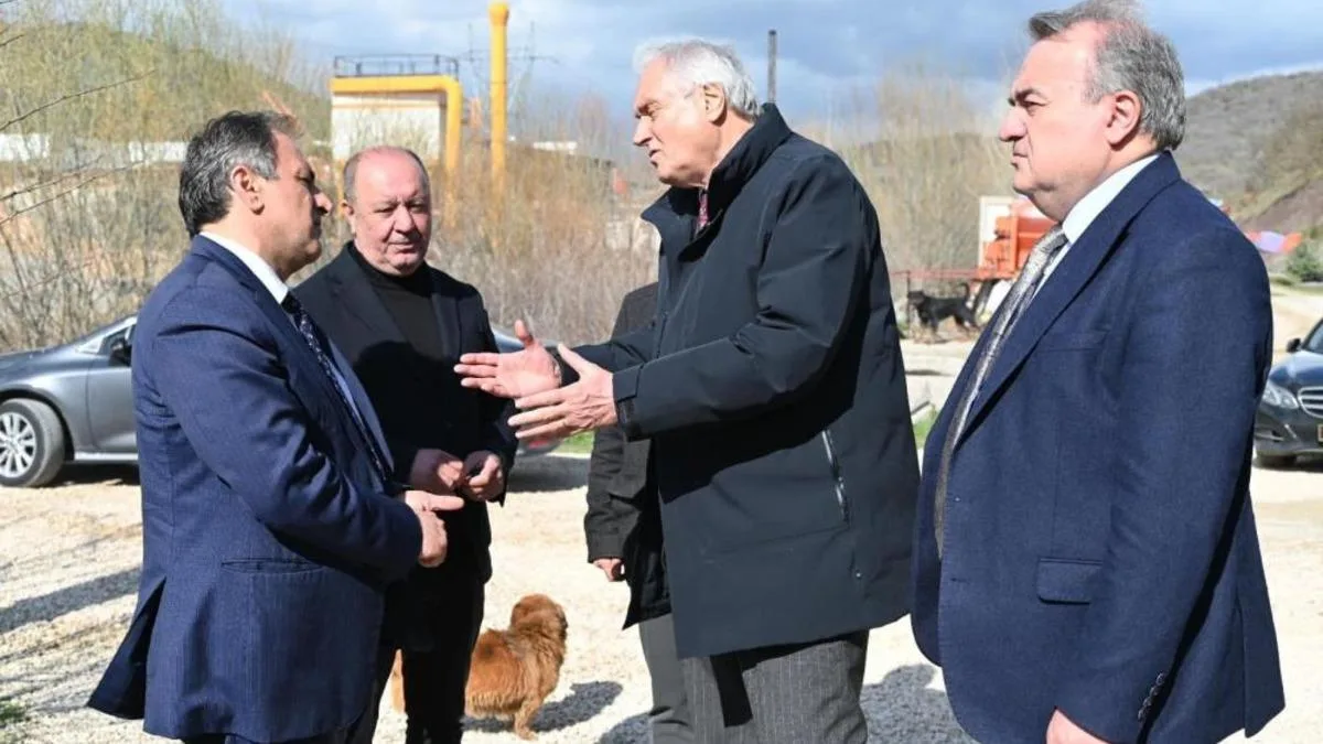 Hayvanlara İhmal: Bozüyük’te Skandal Görüntüler