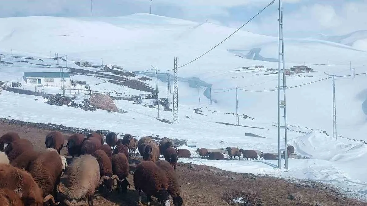 Karla Mücadele: Köy Yolu Ulaşıma Açıldı!