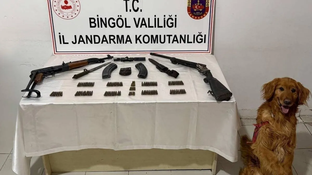 Karlıova’da Yasa Dışı Silah Operasyonu Yapıldı!