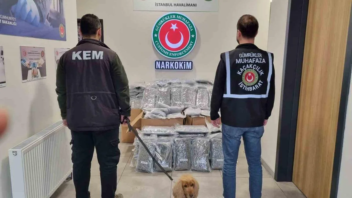 Şimşekler Geceyi Aydınlattı: İlçede Görsel Şölen