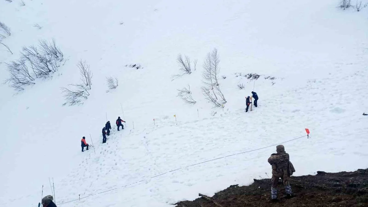 Ardanuç’ta Çığ Felaketi: Kaybolan Çoban İçin Arama Başladı