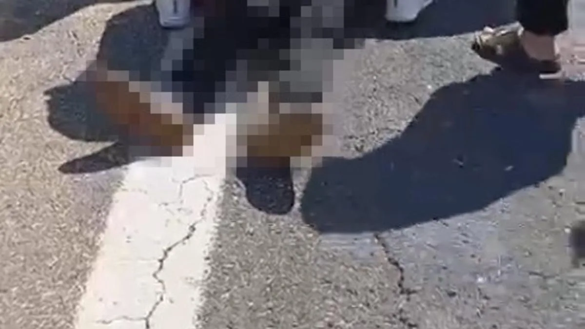 Şanlıurfa’da Kaza: 1 Ölü, 1 Yaralı!