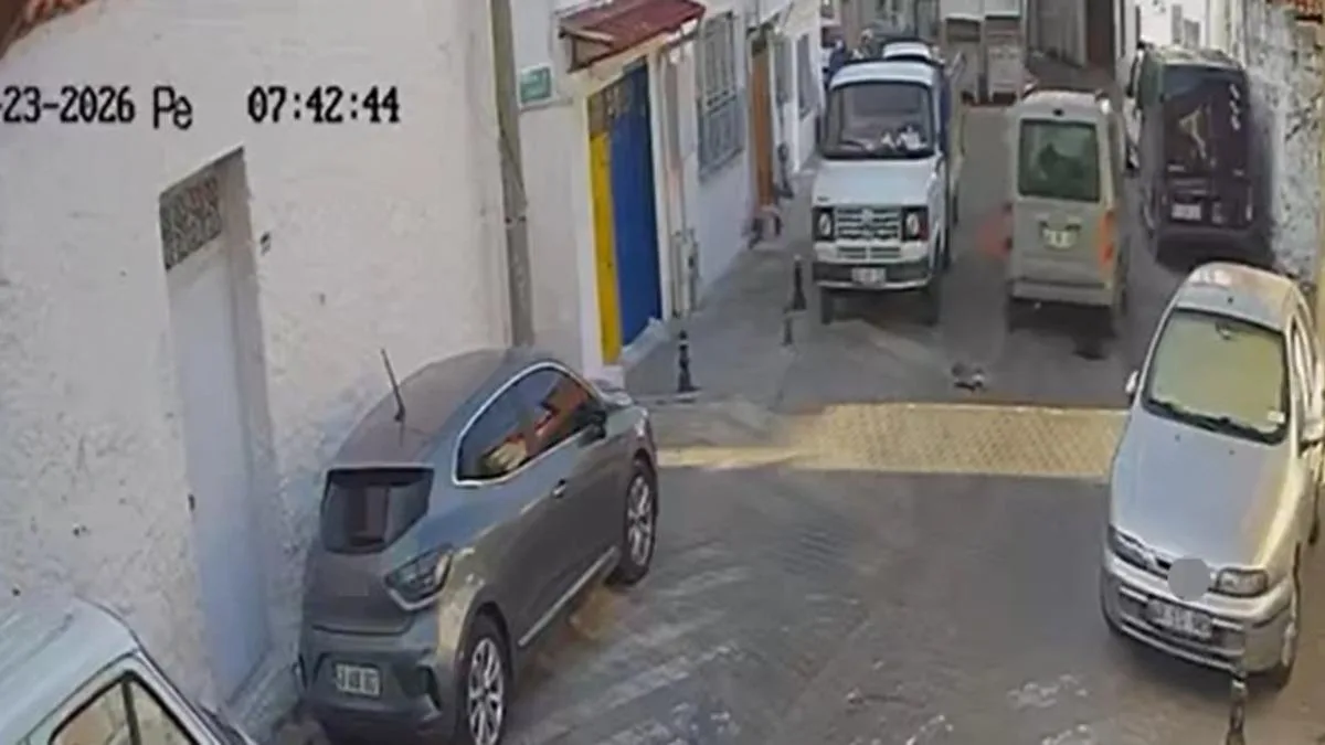 Sokak Kedilerine Araçla Çarpan Sürücü Kaçtı!