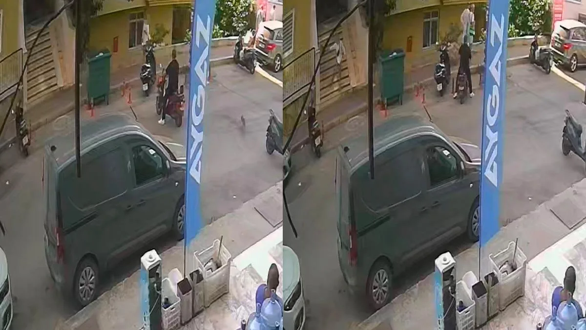 Kediyi Sokağa Fırlatan Çocuk Şok Etti!