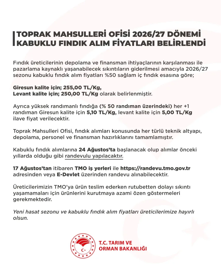 TMO, Fındık Alım Fiyatlarını Duyurdu: 255 TL/kg!