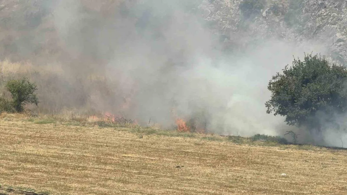 Sivas’ta Otluk Alanda Yangın Çıktı!